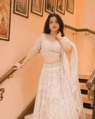 Escort Service In Balasinor